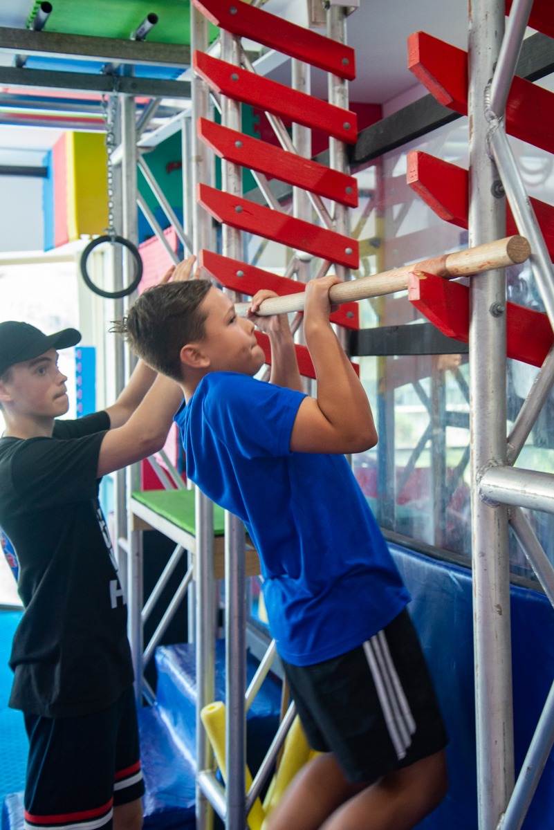 Salmon ladder obstacle